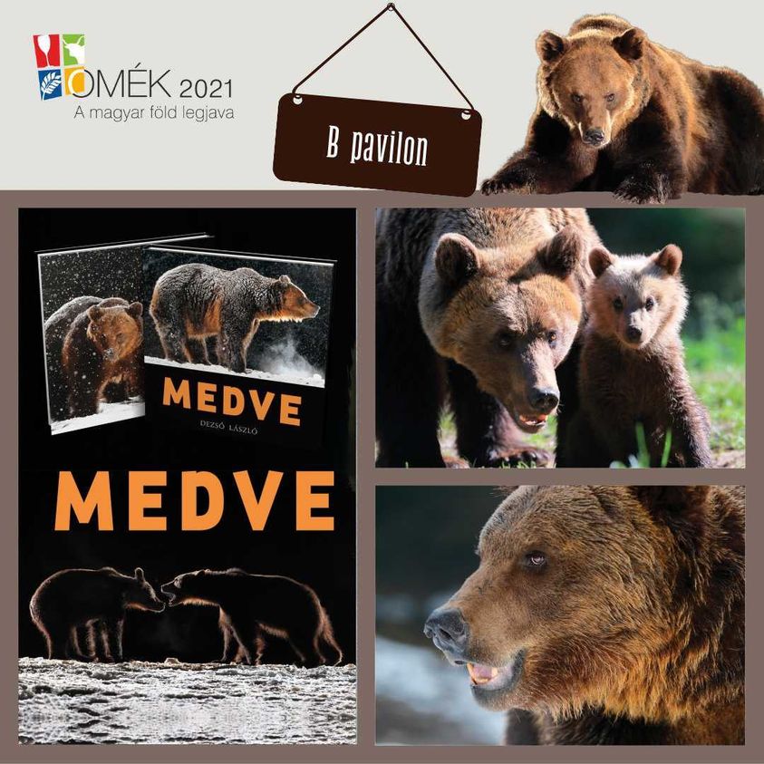 Medve könyvbemutató